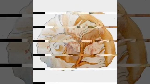 Как нарисовать ракушка пошагавой смотреть онлайн