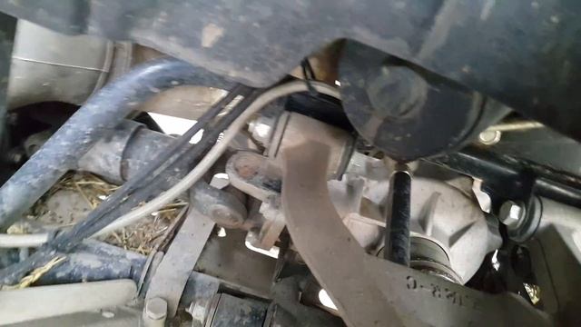 Завелись блохи в квадрике!!))) смотреть онлайн