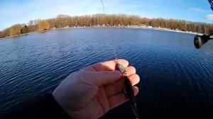 Покидушки HAIBO ARISE & TIANYANG на воде Твич. Джиг. Как настроить тормоза мультипликаторной катушк