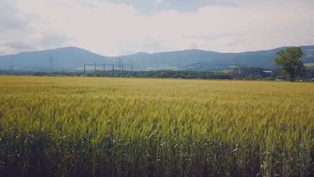 QIZLAR.. JINSIY ALOQA HAQIDA MAXFIY MALUMOT...