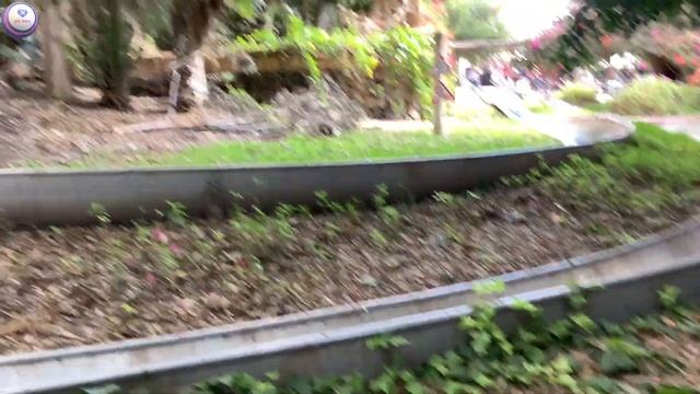 Кулинарный Стиль