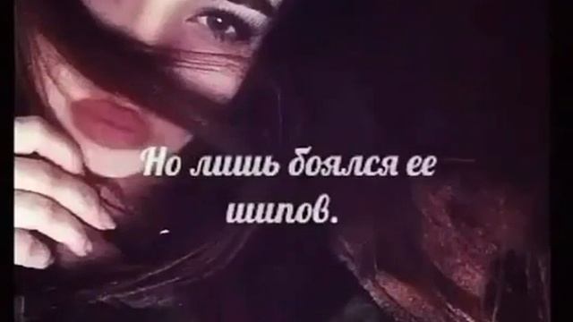 Любите розу смотреть онлайн