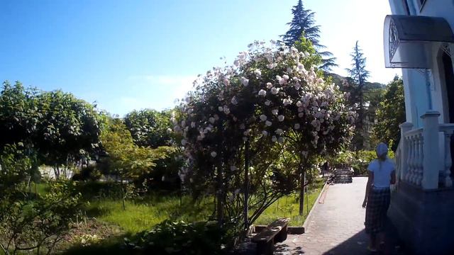 Троице-Георгиевский женский монастырь смотреть онлайн