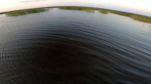 Рогатка для рыбалки на карася ЁКЛМН или как мы с другом на вечерней зорьке отстрелялись из рогаток!