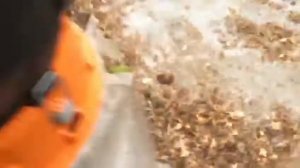 Измельчитель листьев Worx WG430E