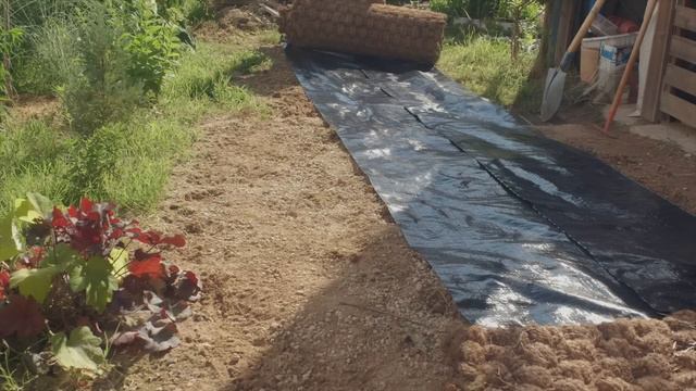 혼자 만든 작은 정원 / 길 만들고 식물심기까지 / 마당정원 리모델링 смотреть онлайн