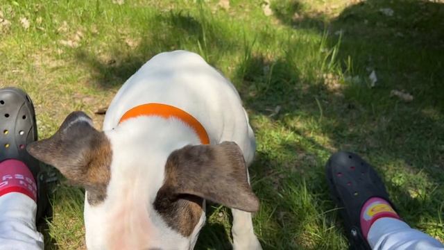 БЕЛОРУССКИЕ (КРИЧЕВСКИЕ) МАЛЬДИВЫ. РУЖАНСКИЙ ДВОРЕЦ. смотреть онлайн