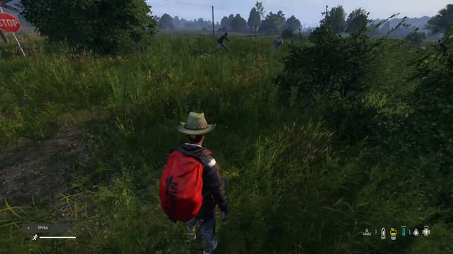 Ля, мы крысы