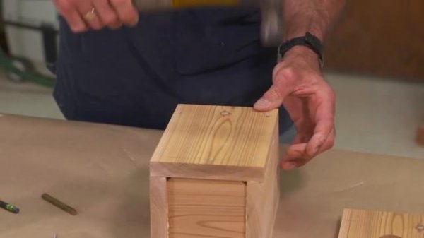 Titebond II Premium Wood Glue