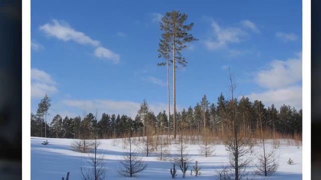 Детская новогодняя песня Зима приходит смотреть онлайн