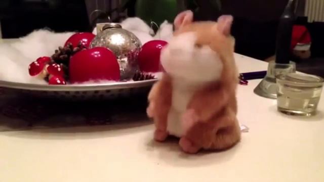Мяу Говорящий Хомяк смотреть онлайн