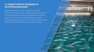 Курс обучения "Рыбоводство (Рыбное хозяйство)" - 8 шагов для успешного открытия рыбной фермы