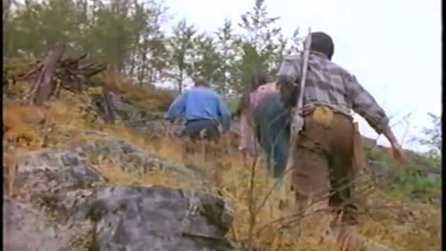 The Curse of the Viking Grave (1992) смотреть онлайн