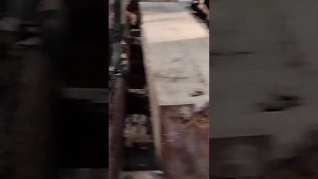 На пилораме.Распил тополя