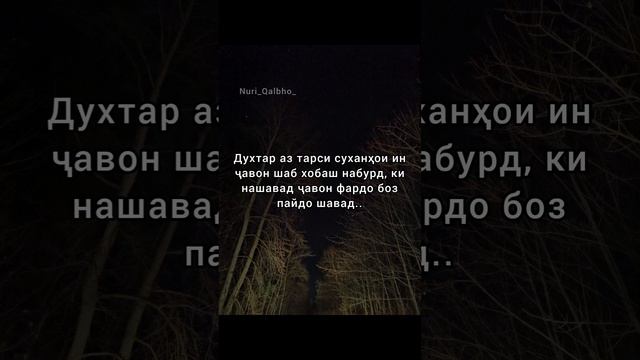 29 сентября 2023 г.