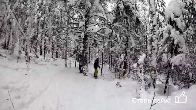 Гора Белая. Сноуборд. Фрирайд по лесу. Февраль 2020 Нижний Тагил смотреть онлайн