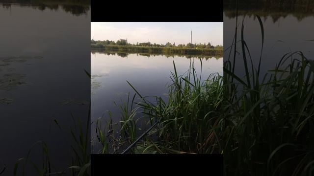 песня про снеговика Под новый год смотреть онлайн