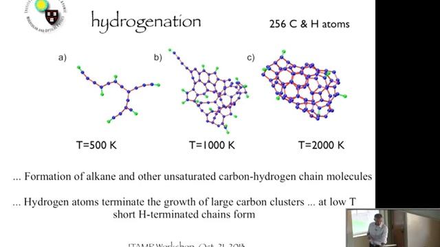Hossein Sadeghpour, "Formation of Large Carbon Molecules in (near) Interstaller Conditions" смотреть онлайн