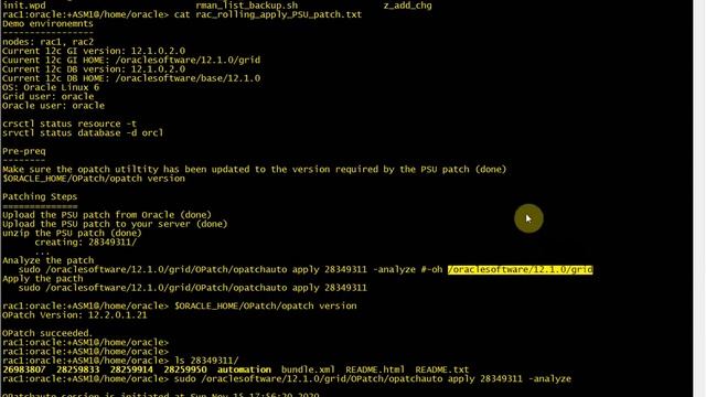 Oracle RAC 12c R1 rolling apply PSU patch demo смотреть онлайн
