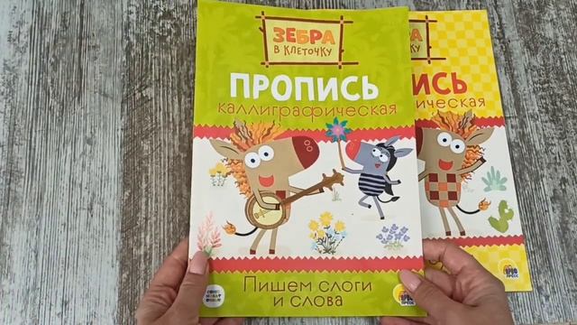 ЗЕБРА В КЛЕТОЧКУ. Каллиграфические прописи. ПИШЕМ СЛОГИ И СЛОВА. ПИШЕМ БУКВЫ И ЦИФРЫ смотреть онлайн