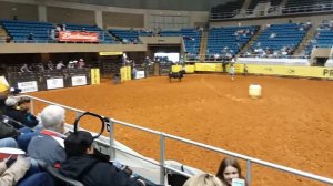 Родео ( с быками)