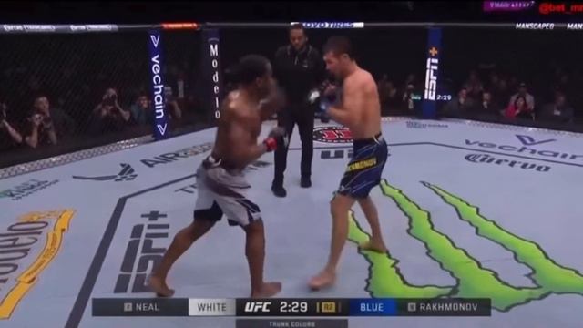 Geoff Neal & Shavkat Rakhmonov. Джефф Нил & Шавкат Рахмонов полный бой смотреть онлайн