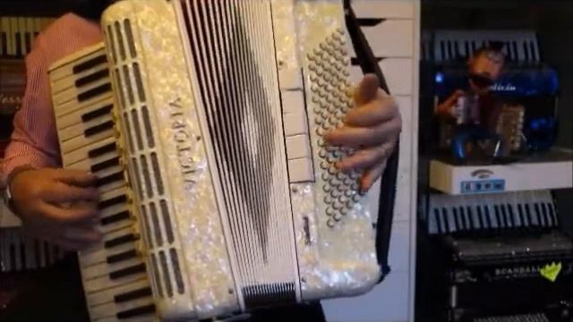 Victoria piano accordion смотреть онлайн