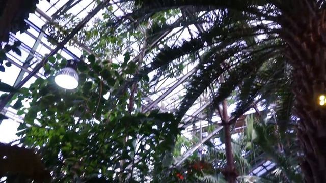 VLOG Ваша Юля - Весеннее настроение и первоцветы смотреть онлайн