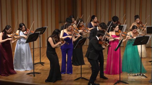 Nikka Gershman plays Flute Concerto in E Minor (S. Mercadante) смотреть онлайн