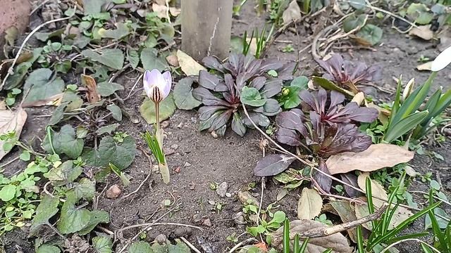 1000019908.mp4 смотреть онлайн