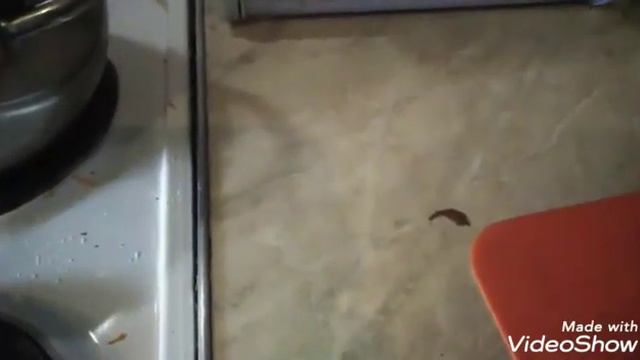 Курочка запечённая под соусом. смотреть онлайн