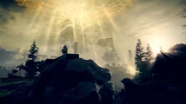 Are ELDEN RING's Tarnished Being Manipulated? смотреть онлайн
