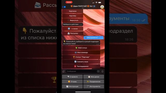 Обзор телеграм бота Дари Получай смотреть онлайн