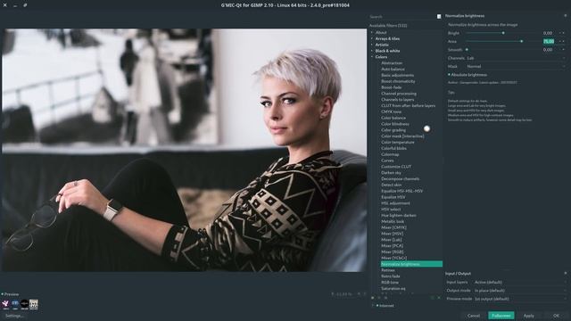 Superfilter GMIC - Normalisieren von Helligkeit über das gesamte Bild – Gimp 2.10.6 смотреть онлайн