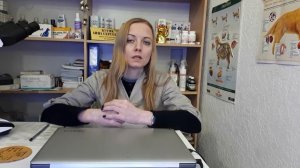 Клещевой боррелиоз болезнь лайма у кошек и собак симптомы диагностика лечение