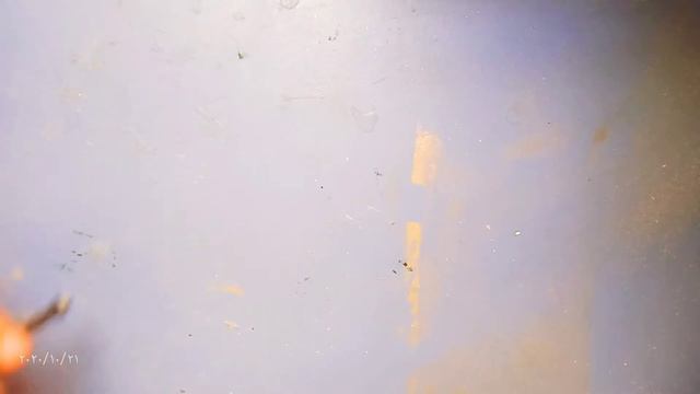 dron lark смотреть онлайн