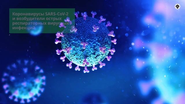 Урок здоровья от СПбГУ смотреть онлайн