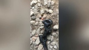 Устраняем люфт рулевого вала ГАЗ СОБОЛЬ (установка рулевого вала от Бычка)