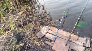 Рыбалка на донку и поплавок в Тамбовской области