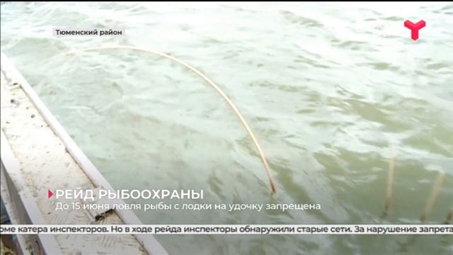 До 15 июня ловля рыбы с лодки на удочку запрещена смотреть онлайн