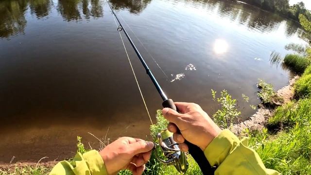 Shimano 18 Stella 3000MHG+ Glitch Oil перебираем и тестируем