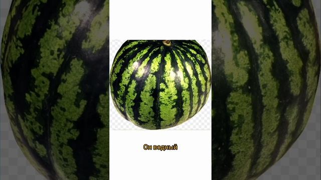 Хто я? #квадратный #арбуз #мальчик #девочка #Чарли смотреть онлайн