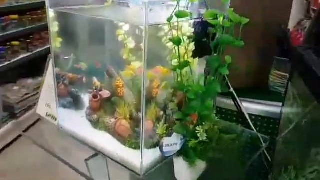 Аквакомплект "Радужный Неон" смотреть онлайн