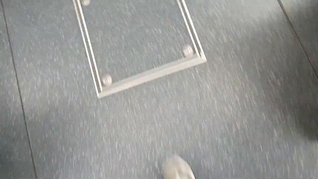 청주 918번 버스 승차 смотреть онлайн