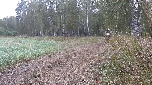 Тренировка в лесу Kayo 140 смотреть онлайн