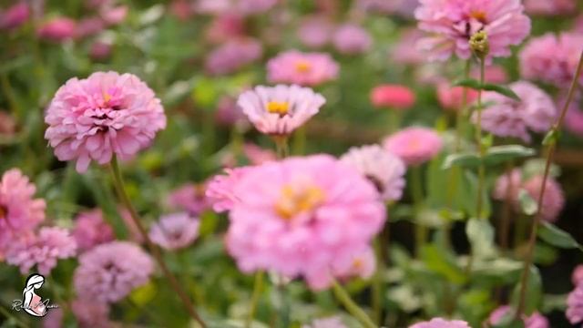 Музыка Для Малышей в Утробе ♫ Музыка Для Беременных ? Расслабляющая музыка для сна #100 смотреть онлайн