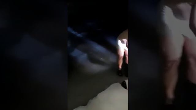 Крещенское купание Пластун смотреть онлайн