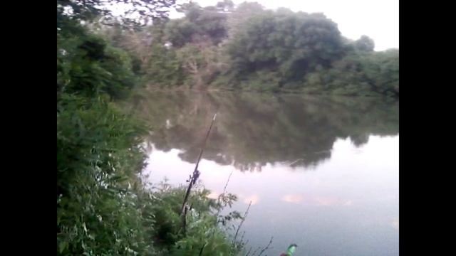 самоподсекатель на рыбалке,тёплый канал Новочеркасск. смотреть онлайн