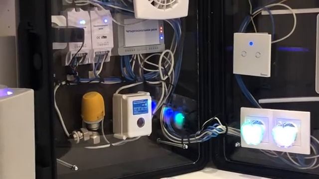 Презентация работы системы Shelly "Умный дом" смотреть онлайн
