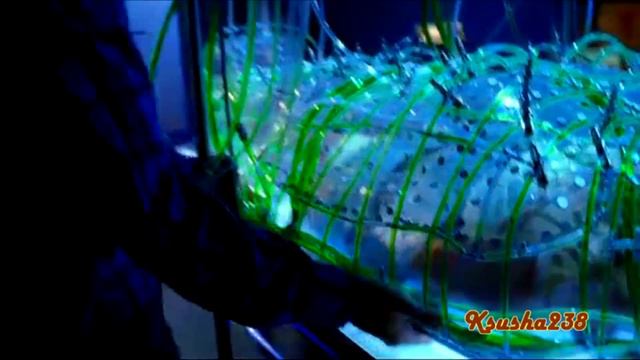 Clark/Lois - "Признание" смотреть онлайн